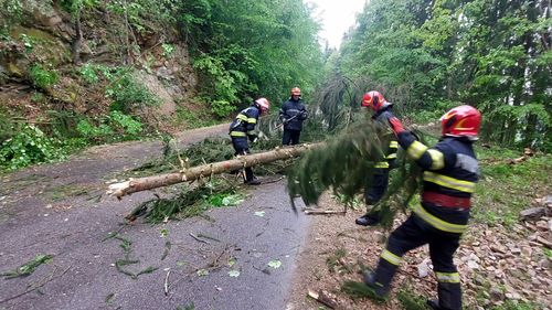 Pompierii militari au avut zeci de intervenții în ultimele 24 de ore, în urma ploilor și rafalelor puternice care au afectat regiunile țării / În Cluj, mai mulți arbori au blocat șoseaua spre Tarnița, iar la Lugoj străzile au fost complet inundate
