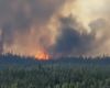 Trump transmite Canadei că trebuie să ţină sub control incendiile de vegetaţie / „Poate ar trebui să ne plătească nişte daune sau ceva de genul, sau ar trebui să impunem nişte tarife vamale”