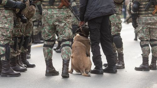 EXCLUSIV Statul vrea să ia 90% din profiturile companiilor de stat, printr-un memorandum confidențial, semnat de o fostă angajată a SRI / Statul se așteaptă la încasări de aproape 8 miliarde de lei în acest an- DOCUMENTE