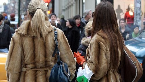 Apel pentru interzicerea fermelor de blănuri în România: Proiectul de lege întârzie în Camera Deputaților