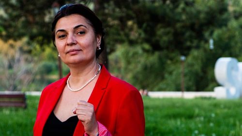 Chișinău: Avocatul Poporului a demisionat după dezvăluirile legate de consilierul său neoficial, condamnat pentru proxenetism / Ea fusese numită în funcție de partidul Maiei Sandu, pe care a și apărat-o ca avocat