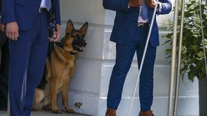 Câinele familiei Biden, Commander, a fost mutat de la Casa Albă după ce a mușcat cel puțin 11 agenți ai Secret Service