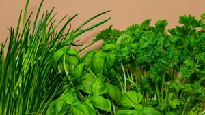 STUDIU Consumul alimentelor pe bază de plante la cină poate reduce cu 10% riscul de boli de inimă