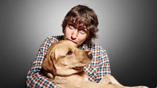 Câinii simt stresul oamenilor și asta îi întristează. Noile cercetări confirmă că sunt mai empatici decât ne-am fi imaginat