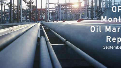 OPEC îşi menţine previziunile privind cererea de petrol şi se aşteaptă la redresarea economiei în 2024