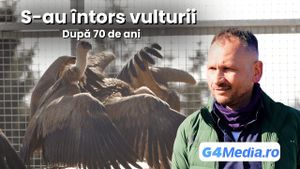 Specia dispărută care revine în România după 70 de ani | Vulturul sur | Interviu cu Jovan Andevski