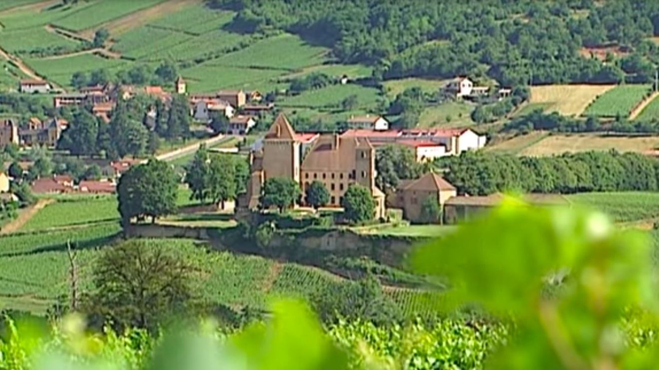 Franța îi oferă noului președinte al SUA două sticle de vin de Burgundia pentru a-l convinge să ridice suprataxa aplicată vinurilor şi băuturilor spirtoase franţuzeşti