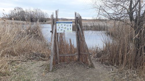 Primăria Capitalei ar putea prelua în administrare aria naturală protejată Parcul Văcăreşti