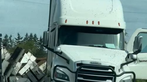Milioane de albine au scăpat după ce un camion cu stupi s-a răsturnat în SUA