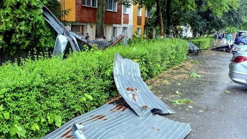 Bilanțul furtunii în județul Brăila: 42 de copaci căzuţi, 8 acoperişuri distruse, două localităţi fără curent, zece vaci electrocutate