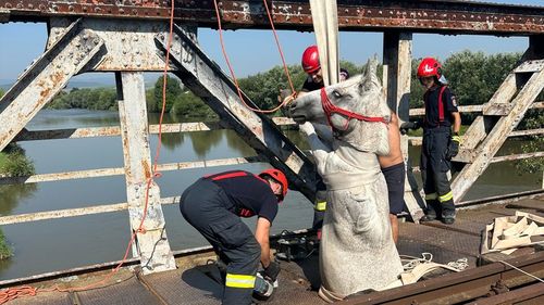 Operațiune de salvare a unui cal blocat pe un pod de cale ferată