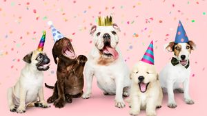 Britanicii cheltuiesc peste 2 miliarde de euro pe an pentru aniversările animalelor de companie