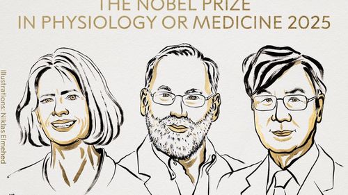 BREAKING Premiul Nobel pentru Medicină 2025: Mary E. Brunkow, Fred Ramsdell și Shimon Sakaguchi