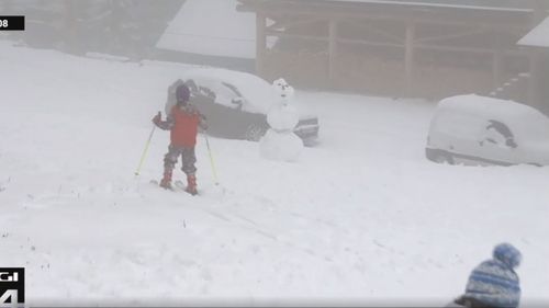 Cod galben de vânt puternic la munte, în opt județe, cu rafale de peste 90 km/h