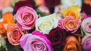 Studiu: „Cele mai romantice orașe din țară”, în funcție de comenzile de flori / Topul produselor comandate de Valentine’s Day