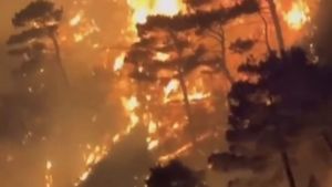 Aproximativ 200 de gospodării evacuate şi 2.000 de hectare de pădure distruse de incendii de pădure în sudul Argentinei, în Patagonia / Val de căldură în nord şi centru