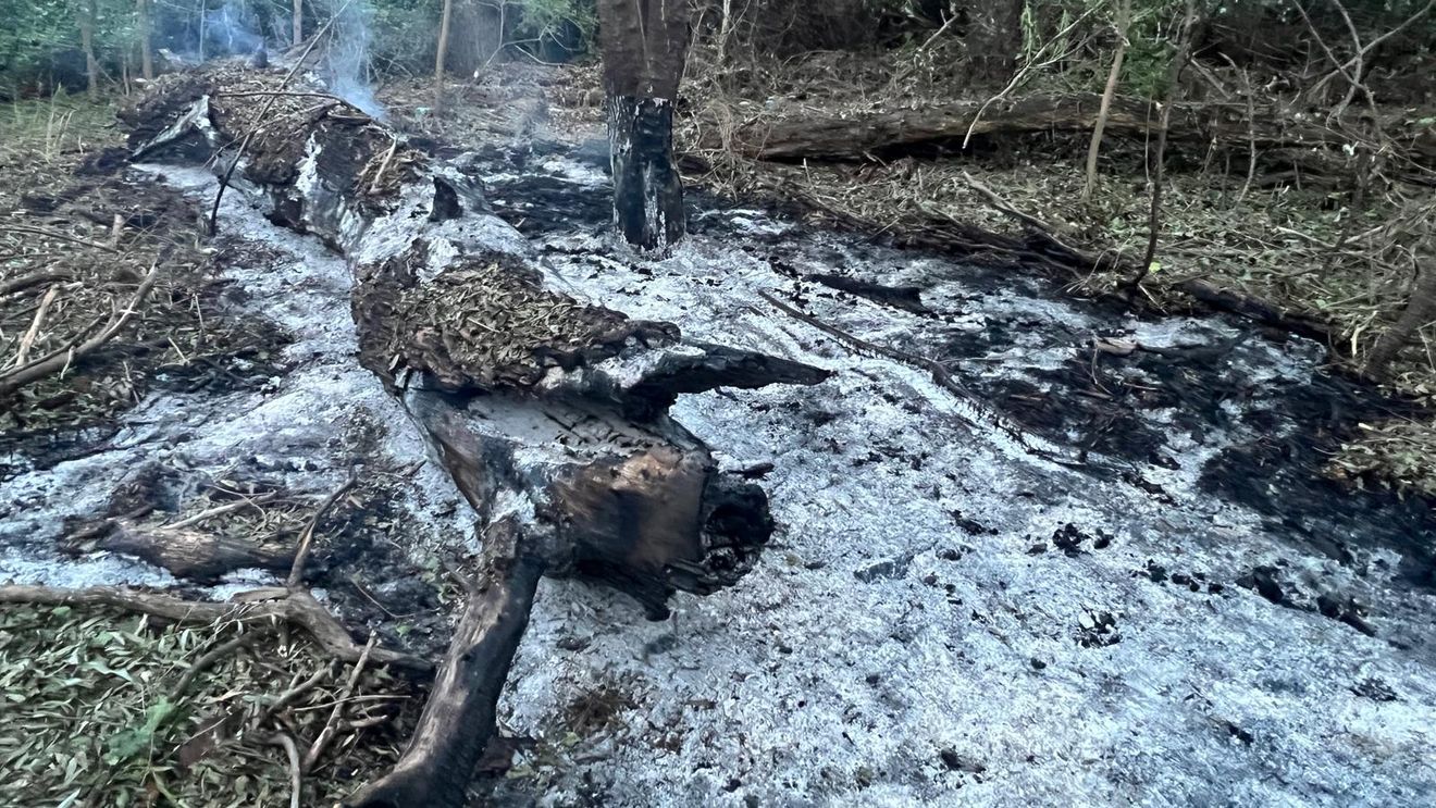 BREAKING Fragmente dintr-o dronă rusească, găsite în apropierea localității Periprava, județul Tulcea / Se fac cercetări și în zona localității Caraorman
