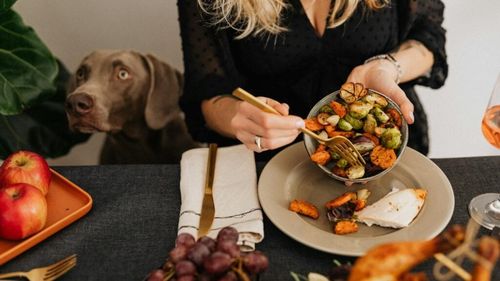 Hrana pentru animale, inspirată din farfuriile noastre: Umanizarea animalelor de companie, trendul care schimbă mâncarea pentru câini și pisici