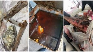 VIDEO Imaginile groazei în restaurantele de pe litoral și Delta Dunării: Produse expirate de 7 ani, amenzi de peste jumătate de milion de lei și zeci de tone de alimente retrase de ANPC