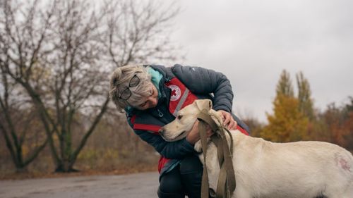 Sprijin pentru animalele abandonate în războiul din Ucraina: Crucea Roșie și Humane World for Animals acționează (FOTO)
