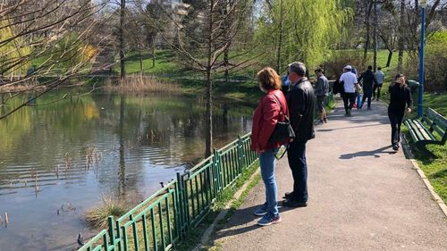 Nicușor Dan propune suspendarea pentru doi ani a Planurilor Urbanistice Zonale din cinci sectoare ale Capitalei, pe motiv că distrug spațiul verde