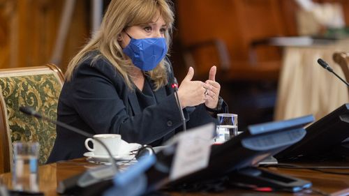 UPDATE Anca Dragu a fost revocată de la șefia Senatului, PNL pregătește instalarea lui Florin Cîțu  / Dragu: USR va ataca hotărârea plenului la CCR