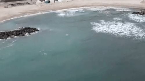 VIDEO Amplă operaţiune pe litoral într-un dosar de trafic de droguri / Oamenii sunt avertizaţi să nu deschidă pachete găsite pe plajă deoarece ar putea conţine droguri