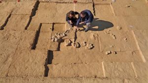 Opt ouă de struţ cu o vechime de până la 7.500 de ani, descoperite în Israel
