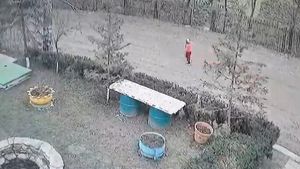 VIDEO Băiețelul de 2 ani dispărut în Botoșani de duminică, surprins de o cameră de supraveghere la ieșirea din sat
