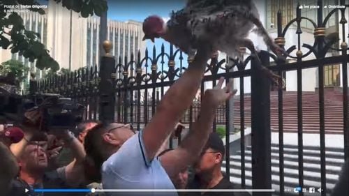 Susținătorii lui Plahotniuc au aruncat curcani vii în curtea Președinției. În 2014, rivalii lui Iohannis i-au aruncat 100 de găini în sediul partidului