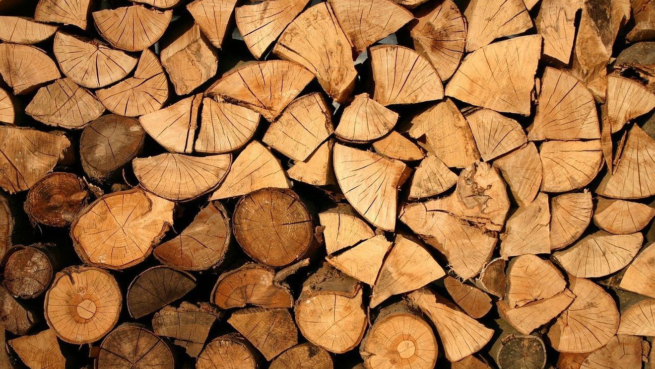 Asociația Industriei Lemnului: Plafonarea preţurilor pentru lemn de foc generează blocaje majore şi rezilieri de contracte / Se poate ajunge la creșterea prețului pentru populație, prin facturarea separată a lemnului și costurilor asociate