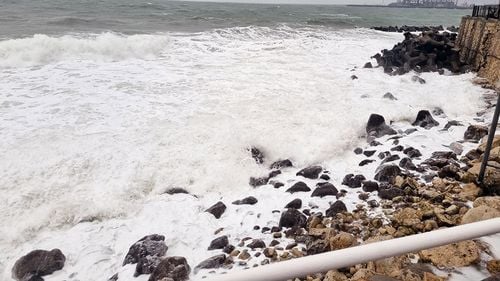 Cod galben de vânt în Dobrogea, miercuri dimineață