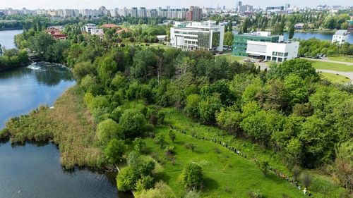 Pajiștea Petricani, o nouă arie naturală protejată pe care Asociația Parcul Natural Văcărești vrea să o înregistreze în București