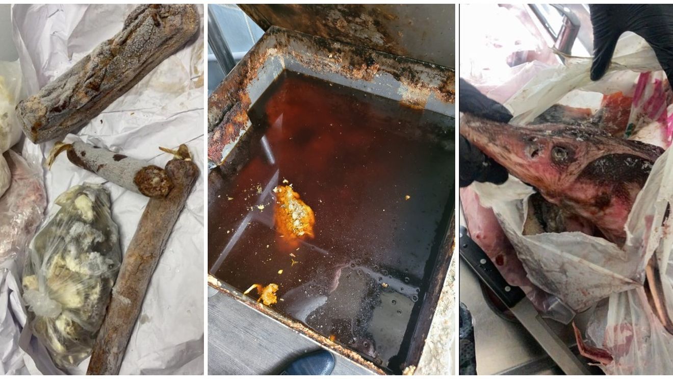 VIDEO Imaginile groazei în restaurantele de pe litoral și Delta Dunării: Produse expirate de 7 ani, amenzi de peste jumătate de milion de lei și zeci de tone de alimente retrase de ANPC