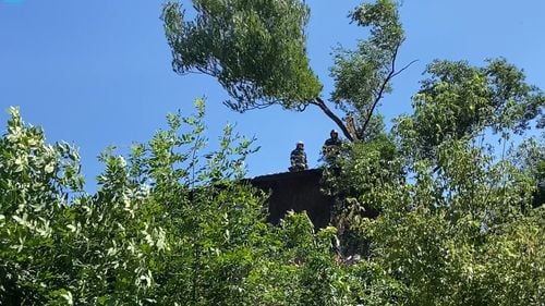 VIDEO Copaci prăbuşiţi în Hunedoara în urma unor rafale puternice de vânt/ Acoperișul unei case a fost distrus