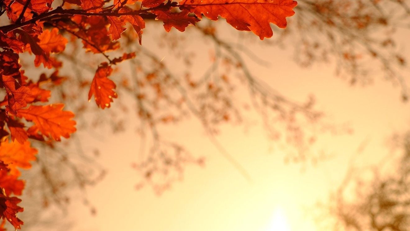 METEO: Temperaturile se vor apropia de cele specifice datei din calendar după 25 septembrie / Sunt așteptate ploi după această dată