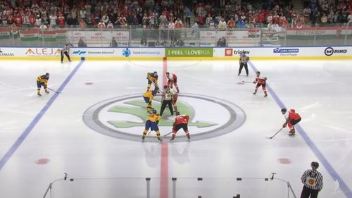 Preşedintele Federaţiei Române de Hochei convoacă Biroul Federal pentru sancționarea jucătorilor care „au stat drepți” în fața galeriei Ungariei