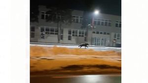 Un nou mesaj RO-ALERT în Prahova, în Găgeni, la 12 km de centrul Ploieștiului / Este al doilea mesaj, după un altul, transmis sâmbătă noapte