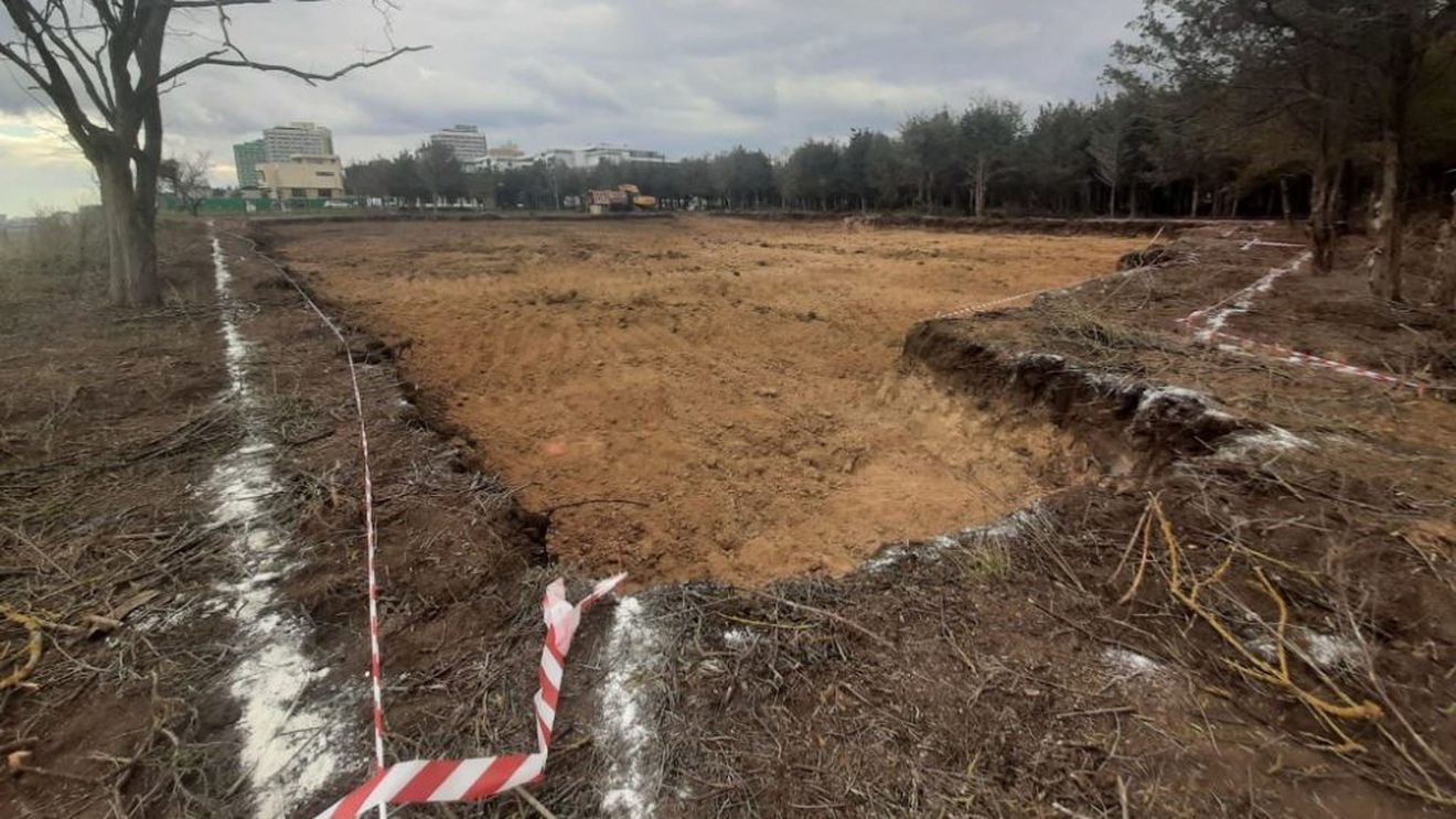 USR Mangalia a strâns 2.000 de semnături pentru protejarea Pădurii Comorova prin trecerea în domeniul public