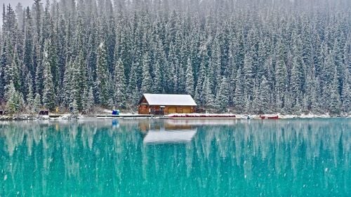 Oamenii de știință monitorizează vulcanul din Alaska după creșterea numărului de cutremure sub acesta