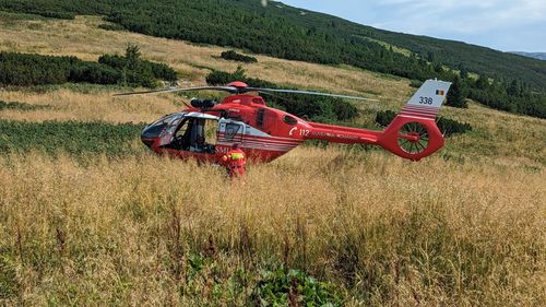 O nouă intervenție de urgență pentru salvarea unei persoane mușcată de viperă, în Munţii Retezat