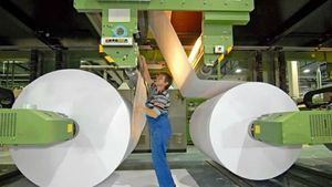Exonia va cumpăra două fabrici cu linii tehnologice complete pentru fabricarea ambalajelor biodegradabile din hârtie în a doua parte a anului viitor/ Compania va investi 50 milioane euro până la finalul lui 2023