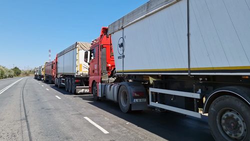 Cerealele din Ucraina care tranzitează teritoriul Republicii Moldova nu vor fi supuse controalelor Agenției Naționale pentru Siguranța Alimentelor / ”Riscul introducerii organismelor de carantină este considerat redus”