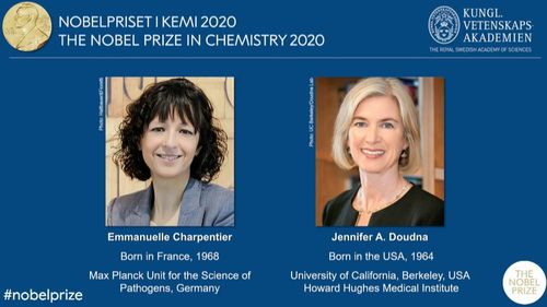Premiul Nobel pentru Chimie 2020 se acordă pentru “rescrierea codului vieții” cercetătoarelor Emmanuelle Charpentier și Jennifer Doudna
