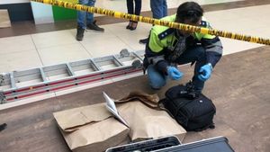 Furt spectaculos într-un mall din Iași: Hoții au scos seiful prin acoperiș / S-au furat aproximativ 30 de mii de euro