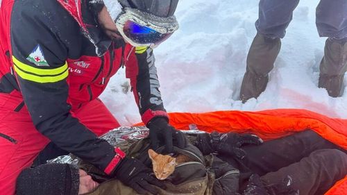 Salvamont: 59 de apeluri prin care se solicita intervenţia de urgenţă a salvamontiştilor, în ultimele 24 de ore/ Au fost salvate 58 de persoane