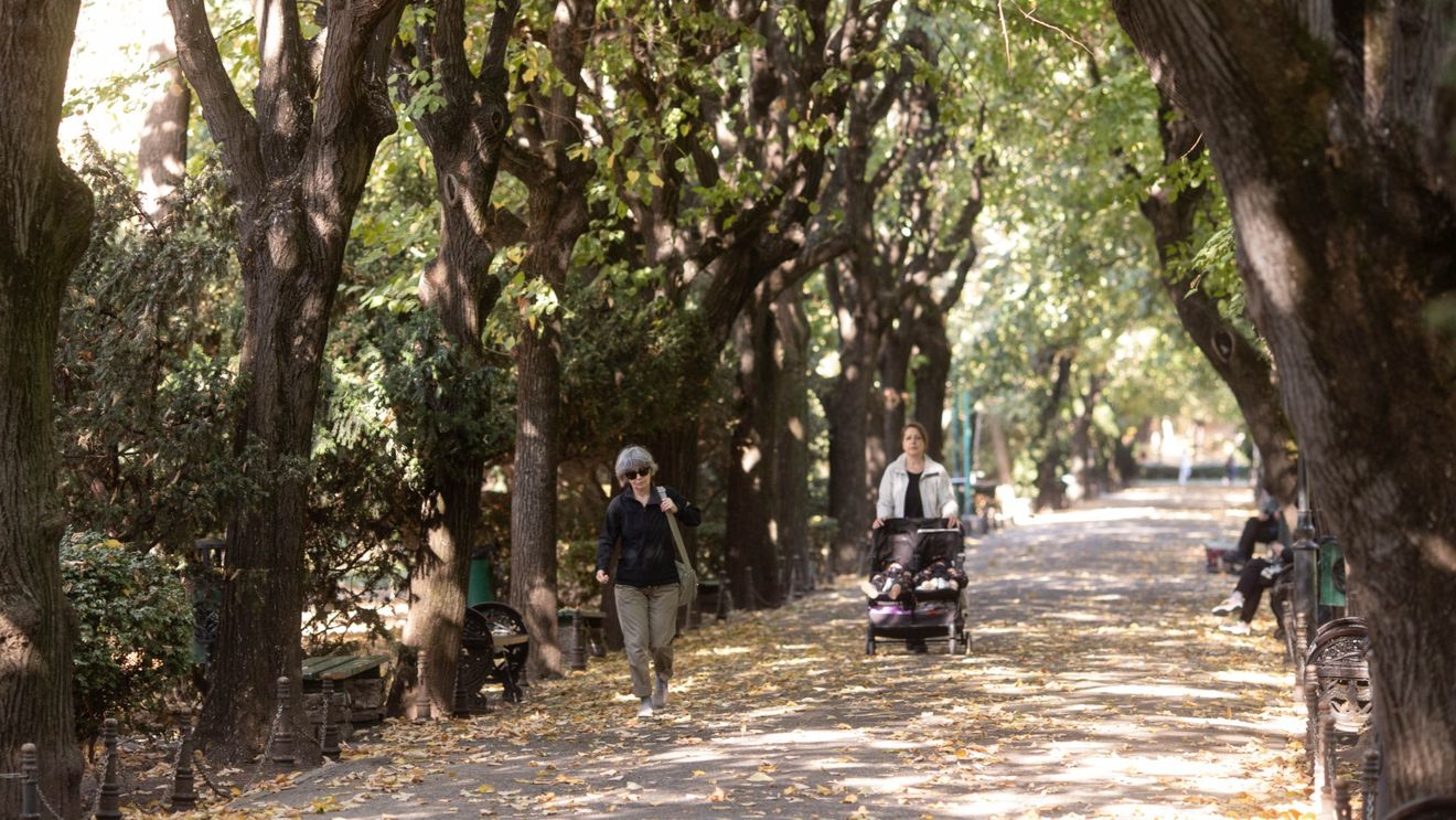 Meteo: Temperaturi uşor mai ridicate decât cele normale pentru această perioadă, până la jumătatea lunii octombrie/ Ploile, excendentare în nord-vestul ţării