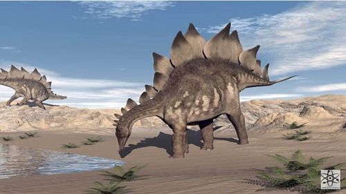 Cel mai bine păstrat schelet de stegozaur, o specie erbivoră din Jurasicul Superior, a fost găsit într-o magazie din Portugalia