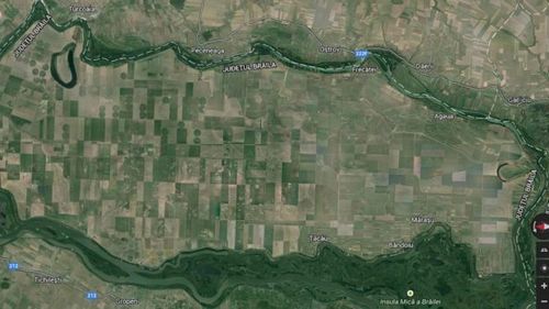 Reacții ale fermierilor români după vânzarea firmei care gestionează Insula Mare a Brăilei: scepticism și neîncredere față de statul român