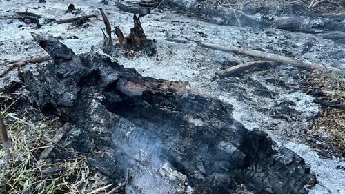 Bucăți dintr-o dronă rusească au fost găsite în localitatea tulceană Plauru, anunță Ministerul Apărării / Căutările continuă